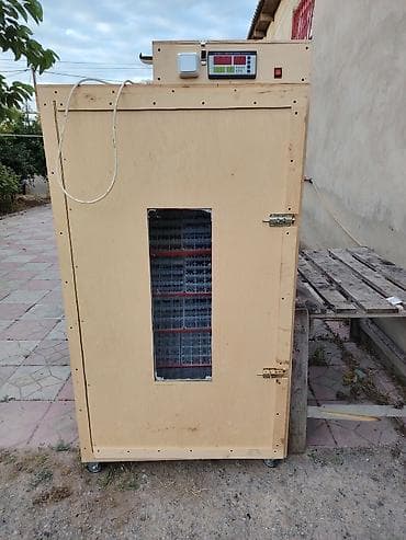 Tam avtomat — 5