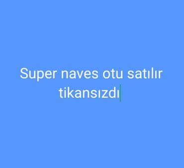 en yaxsi bugda sortu: Super naves otu satılır – tikansız. Xüsusiyyətlər: - Tikansız növ — 1