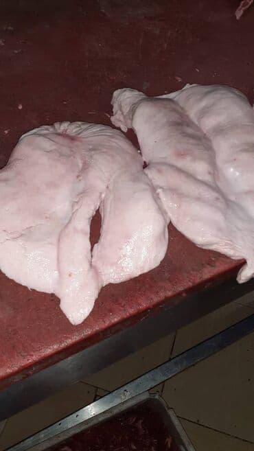 dəniz duzu: Quzu quyruğu (erkək) Avstraliya istehsali 1-ci növ (tullantısız) 1 — 6