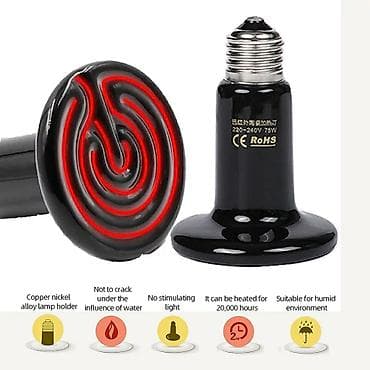 Keramik lampa Bruder üçün Qızdırıcı keramik lampalar Inkubator və