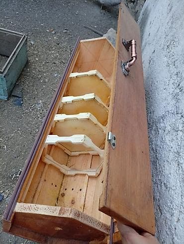 bala pişik ucuz: Ari aileleri satilir. 5 ve 10 ramkali — 4