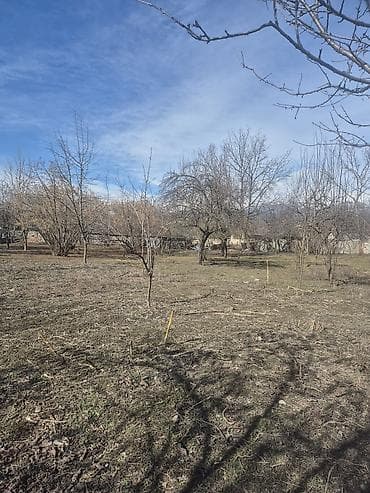 bine atciliqda torpaq satilir 2019: 13 sot, Tikinti, Mülkiyyətçi, Kupça (Çıxarış) — 2