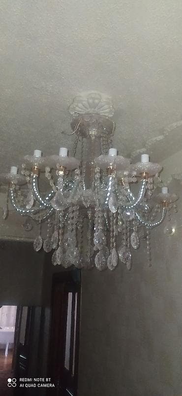 Bitkilər üçün dibçəklər: Çılçıraq — 2