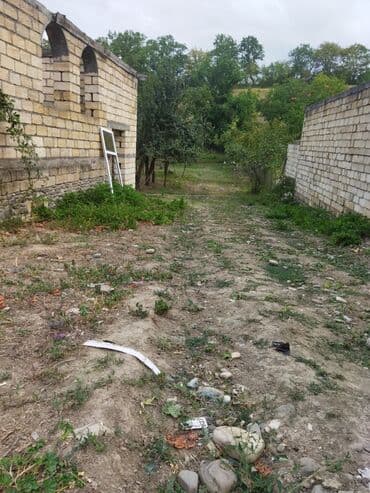 продается земельный участок: 24 sot, Kənd təsərrüfatı, Kupça (Çıxarış) — 8