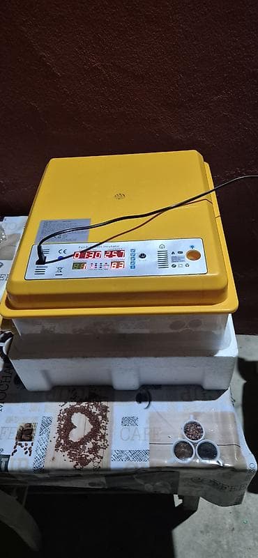 Inkubator tam aftomat 120 yumurtaliq demek olarki islenmeyib iki defe — 2