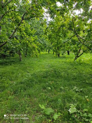 xırdalan kirayə evlər 1 otaqlı: 15 sot, Tikinti, Mülkiyyətçi — 4