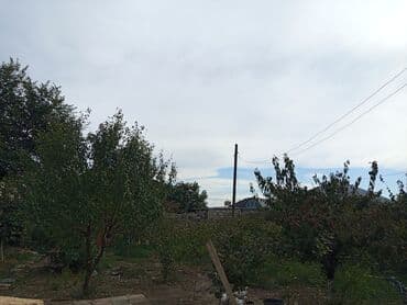 купить бак для воды: Geniş çoxfunksiyalı obyekt və həyət - İki mərtəbəli, hündür tavanlı — 3