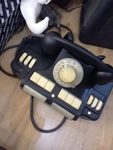 antikvar: Antikvari əşyalar Vintage kolleksiya əşyaları dəsti - Təbiət — 4