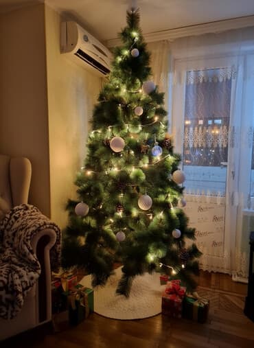 ag yolka sekilleri: Qeyd bos bos yazmasin ciddi alici olmayan sexsler Yeni il ağacı – — 2