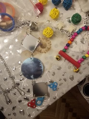 Yuvalar: Nimfa (cockatiel) cütü və tam avadanlıqlı qəfəs dəsti. Biri erkek biri — 7