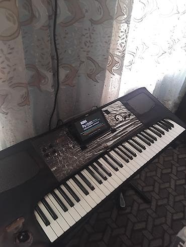 kamil set: Korg Pa1000 Professional Arranger - 61 klavişli aranjor sintezator - — 2