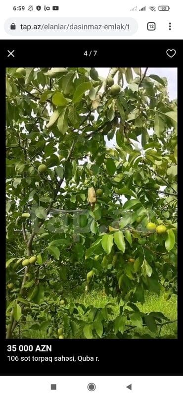 lalafo долгосрочная аренда квартир: 106 sot, Mülkiyyətçi, Kupça (Çıxarış) — 1