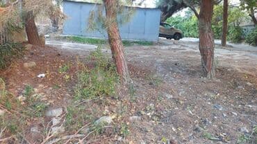 elite: 4 sot, Tikinti, Mülkiyyətçi, Bələdiyyə — 6