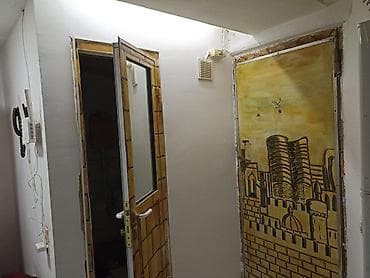 ev menzil: 1 otaqlı mənzil – studiya tipli zal və mətbəx keçidi - Geniş zal: iri — 9
