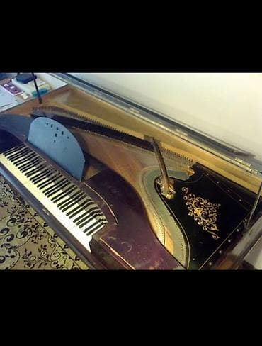 Antik kuyruklu piano – Wills. Pethmüller & Sohn, Göttingen - — 2