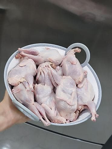 Turşular: Məhsul: Təmizlənmiş bıldırcın Təsvir: - Tam təmizlənmiş, içi — 10