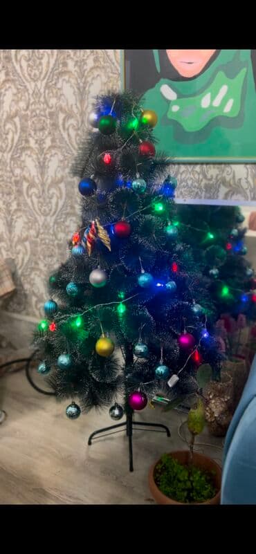 avokado ağacı: Hundurluk 1.5m. Elage wp — 4