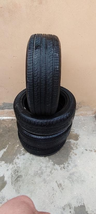 meqan disk: İşlənmiş Şin Collage 235 / 55 / R 18 — 1