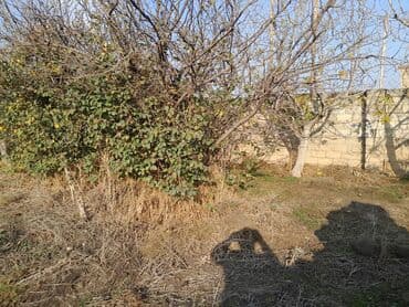 araz supermarket neftciler: 3 sot, Tikinti, Mülkiyyətçi, Kupça (Çıxarış) — 2