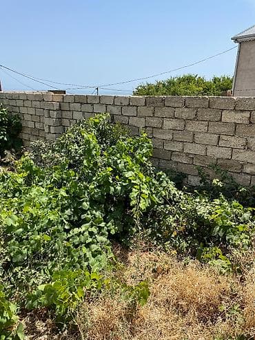 dağ: 2 otaqlı, 65 kv. m, Orta təmir — 8