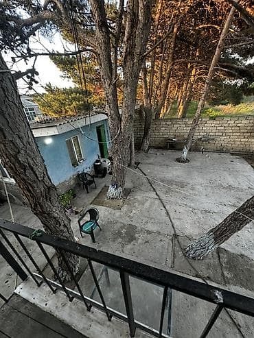 seki torpaq: Meşə zolağına bitişik, geniş həyəti olan bağ evi və sahəsi — 2