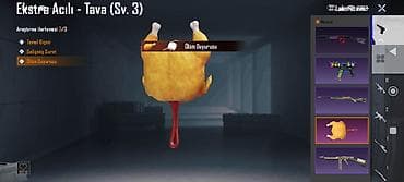 PUBG Mobile hesabı – yüksək səviyyəli kolleksiya və nadir laboratoriya — 2