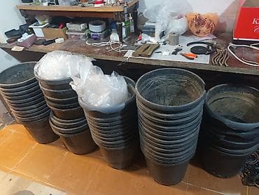 nasos satisi: 200 yaxin balaca qablar boyukler hamsi birlikde satlir wp activdir — 1