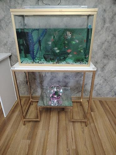Dördbucaq akvarium, Balıqlarla birlikdə, 100 l — 1