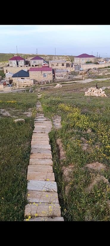 Kirayə torpaq sahələri: 6 sot, Kənd təsərrüfatı, Mülkiyyətçi, Texniki pasport, Müqavilə — 1