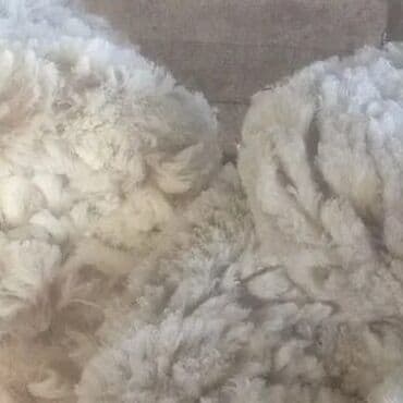 бак для воды в квартиру: Yun — 1