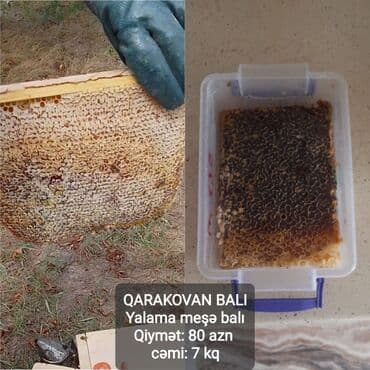 bal qoz qarisimi: Qarakovan balı – Yalama meşə balı - Tərkibi: Qarıkovan (təbii şanlı — 1
