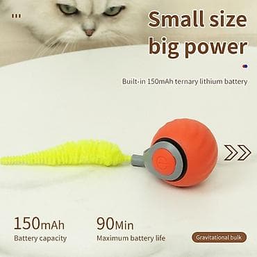 Boks kisələri: 😍Hər kəsin axtardığı pişik oyuncağı. 🐱Həm pişiklər həm İtlər üçün — 5