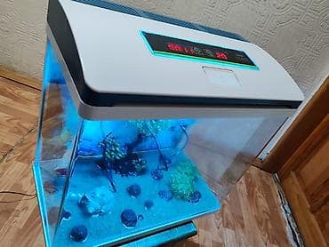 kənd colpası satışı: Boş, 45 l, Ödənişli çatdırılma — 5