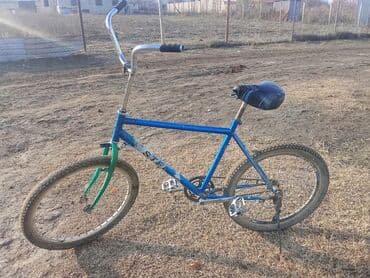 2 neferlik velosiped: Şəhər velosipedi Stels, 24", sürətlərin sayı: 1 — 2