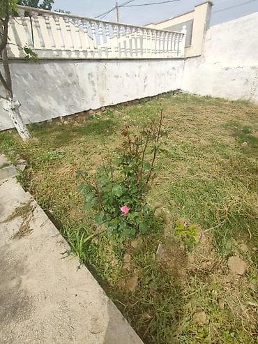 250 kv. m, 7 otaqlı, Artezian quyusu, İnternet, Telefon — 6