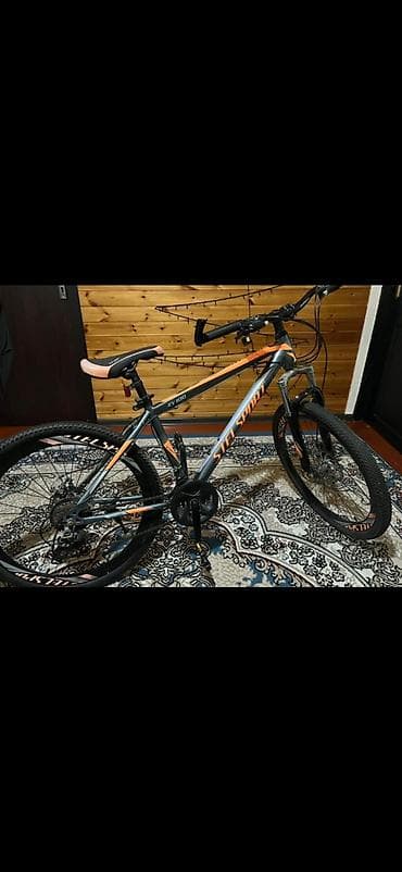 velosiped 26 ucuz: İşlənmiş Şəhər velosipedi 26", Ünvandan götürmə — 1