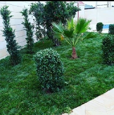 Qazon satışı çatdırılması və quraşdırılması. Qiymət kvadratdan və