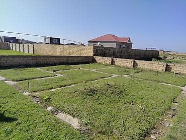 bine qesebesinde ev: 6 sot, Tikinti, Mülkiyyətçi, Kupça (Çıxarış) — 1