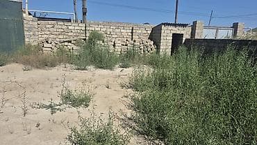 Tikinti — 3