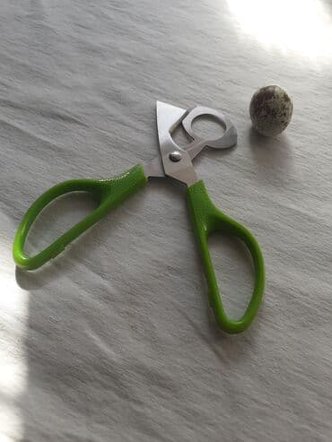 Bildircin yumurtasi kesen zakazla gelib 15 man