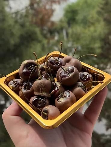 patchi шоколад цены: Şokoladla örtülmüş meyvə assortisi - Təzə meyvələrdən hazırlanmış — 5