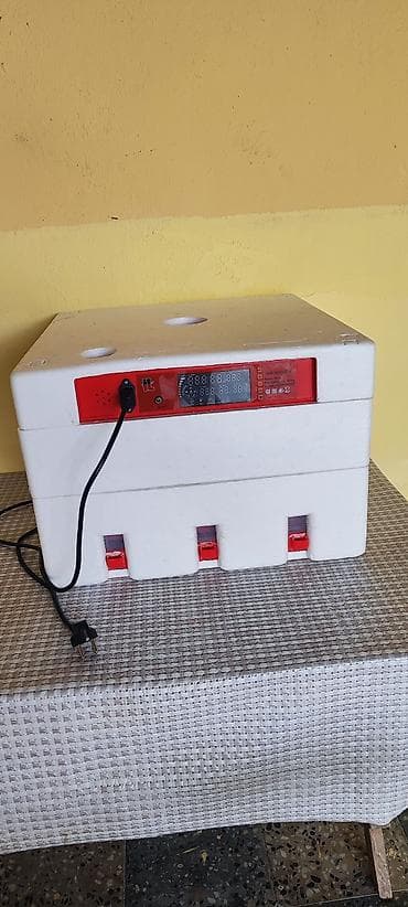 Elektron inkubator – polistirol korpuslu, rəqəmsal idarəetmə paneli — 2