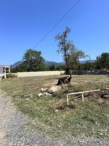 satisda olan evler: 10 sot, Tikinti, Kupça (Çıxarış) — 3