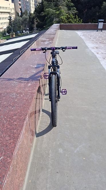 velsavetlər: Velosiped: Meiredi dağ velosipedi Xüsusiyyətlər: - Çərçivə — 3