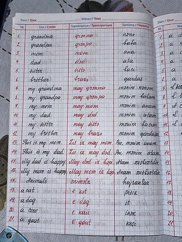 prestij s informatika pdf: Məktəbli şagirdlər üçün siniflər üzrə lüğət dəftəri. Məhsul: İngilis — 1