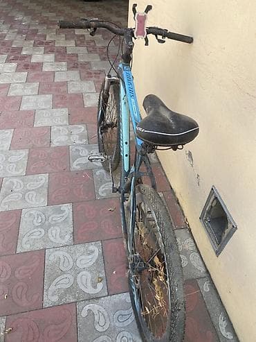 turist velosiped: Veziyyetleri gorunduyu kimidir. Velosipedler Berdededir. Tek tekde — 6