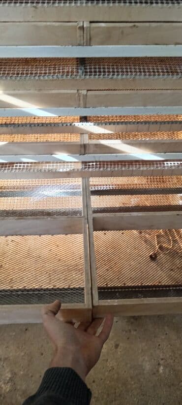 İnkubatorlar: 1100 yumurta, Azərbaycan, Bütün növ quşlaq üçün — 9