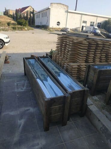 dibçek gulleri: Dibçək güldanlar. Dipçəklər bir başa sexdən.Sex qiymətinə. ♦️Endrim — 7