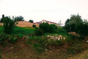 42 sot, Biznes üçün, Mülkiyyətçi — 4