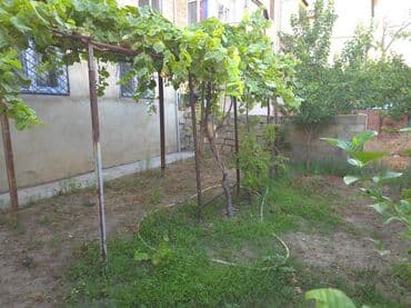 ilkin ödənişsiz evlər 2022: 2 otaqlı, 37 kv. m, Orta təmir — 14
